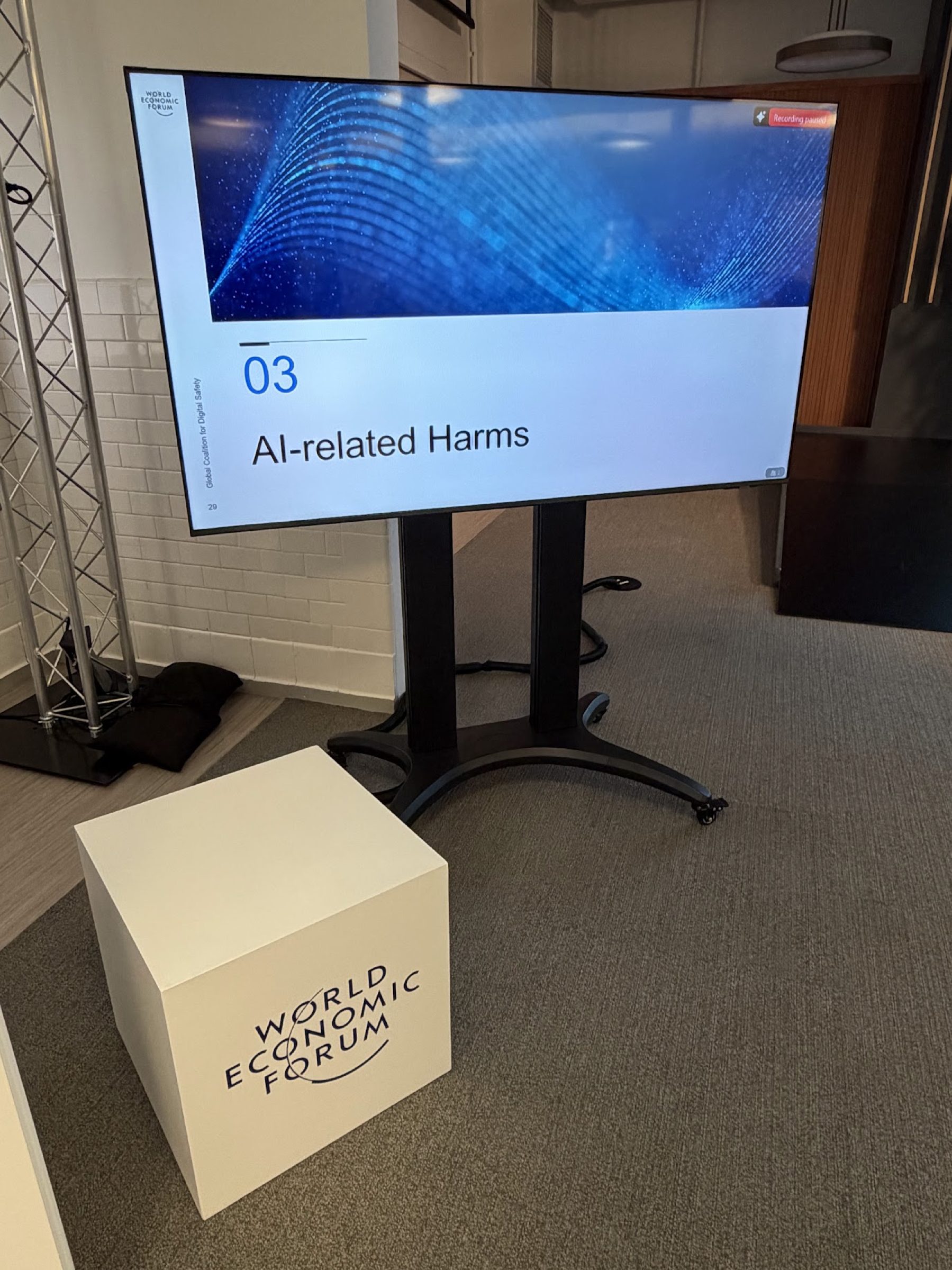 AI-related Harms session screen at the WEF workshop
